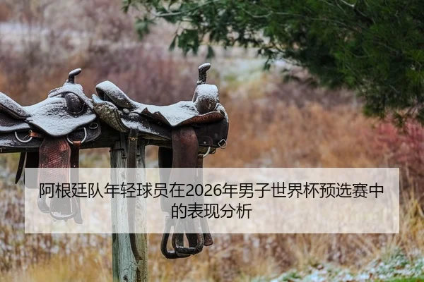 阿根廷队年轻球员在2026年男子世界杯预选赛中的表现分析