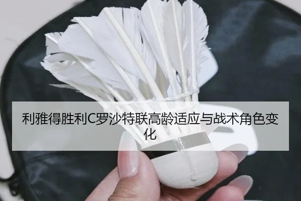 li-ya-de-sheng-li-luo-sha-te-lian-gao-ling-shi-ying-yu-zhan-shu-jue-se-bian-hua-2-177.jpg