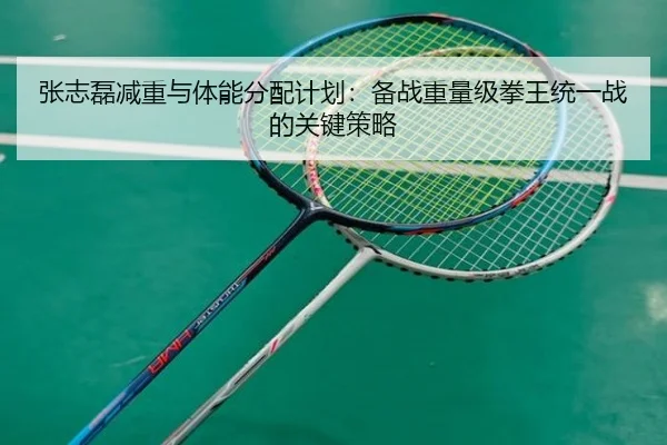 zhang-zhi-lei-jian-zhong-yu-ti-neng-fen-pei-ji-hua-bei-zhan-zhong-liang-ji-quan-wang-tong-yi-zhan-de-guan-jian-ce-lve-2-592.jpg