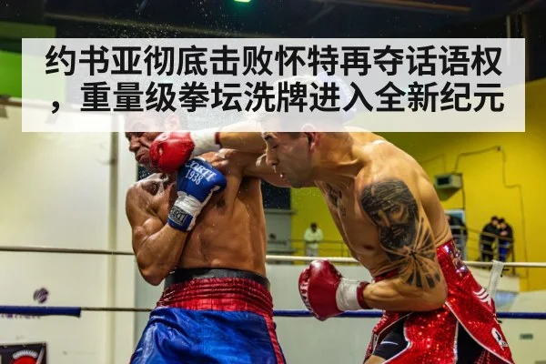 boxer knockout punch